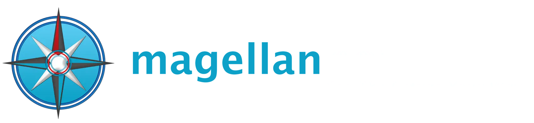 Magellan Solutions Logo