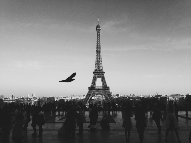 French call center support services philippines