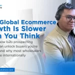 b2b prospecting services​